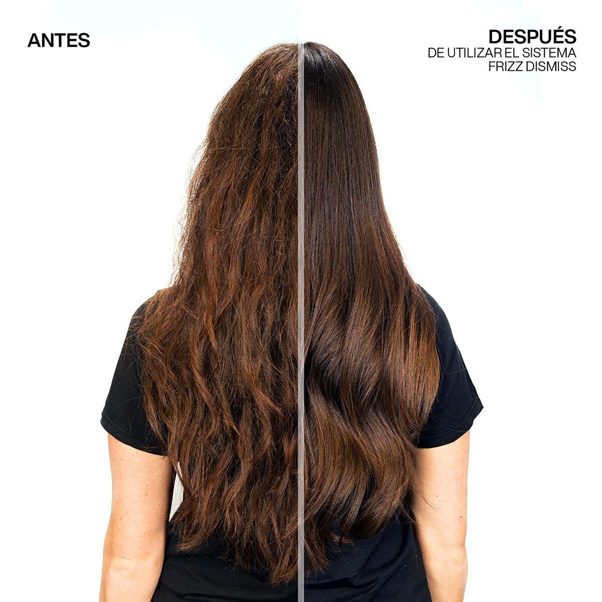 PROTECTOR T&Eacute;RMICO FRIZZ DISMISS PARA CABELLO REBELDE